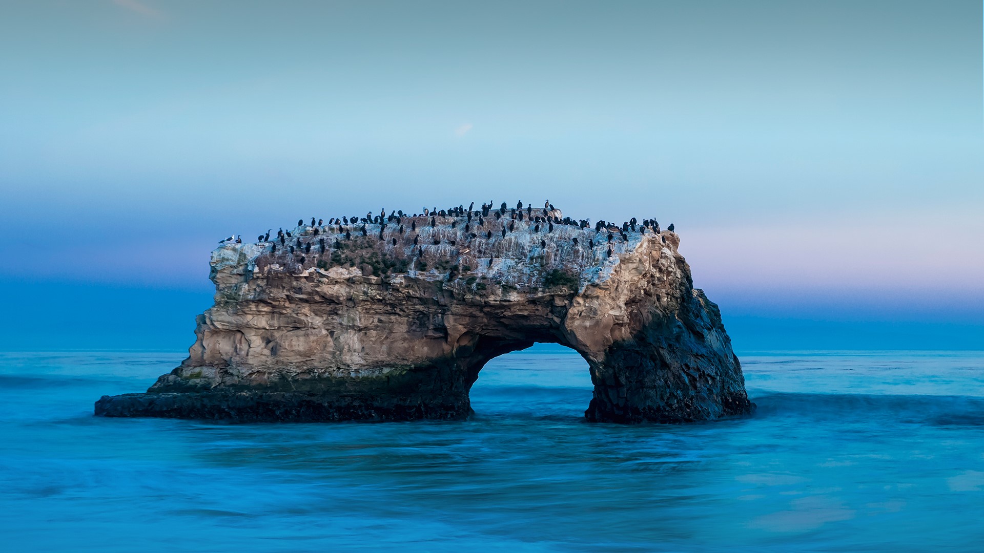 Natural Bridges State Beach California Wallpapers