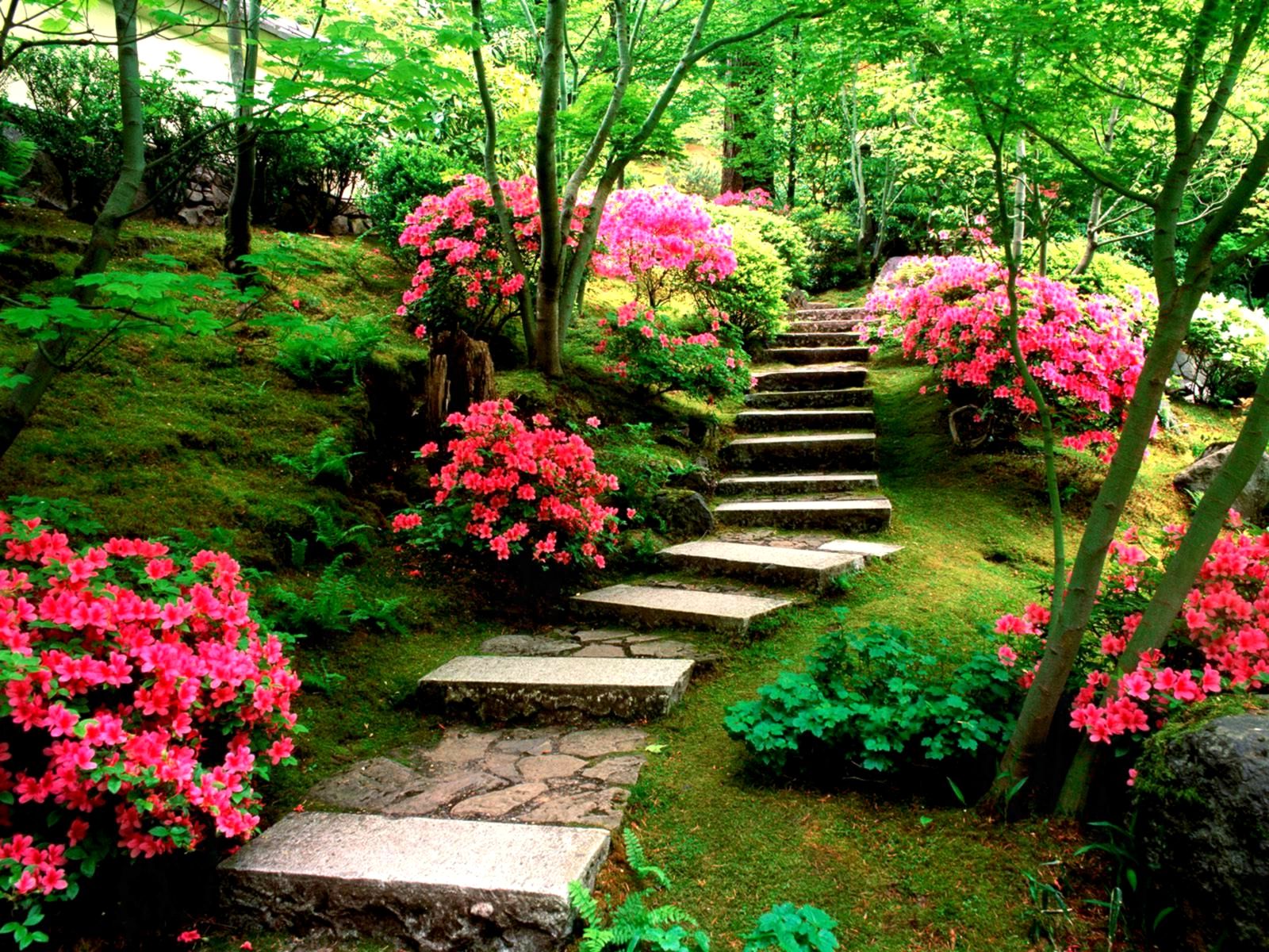 Natural Garden Wallpapers