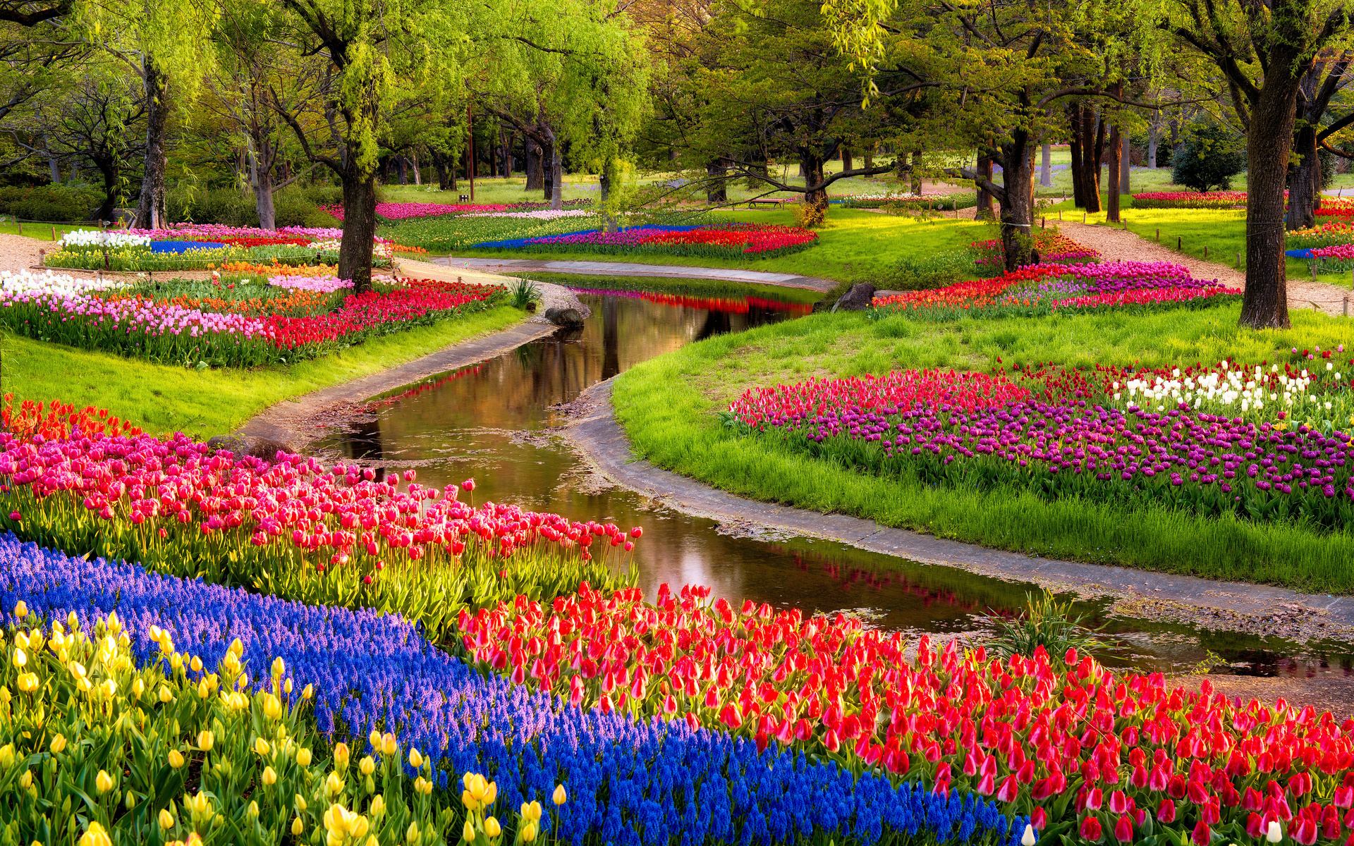 Natural Garden Wallpapers