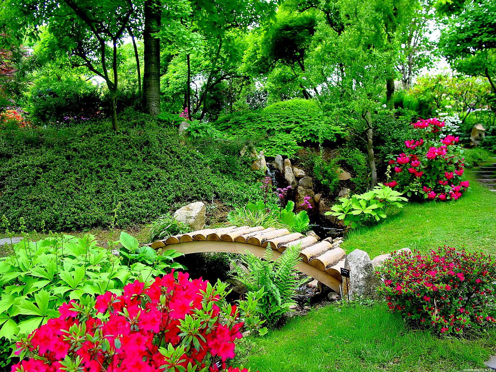 Natural Garden Wallpapers