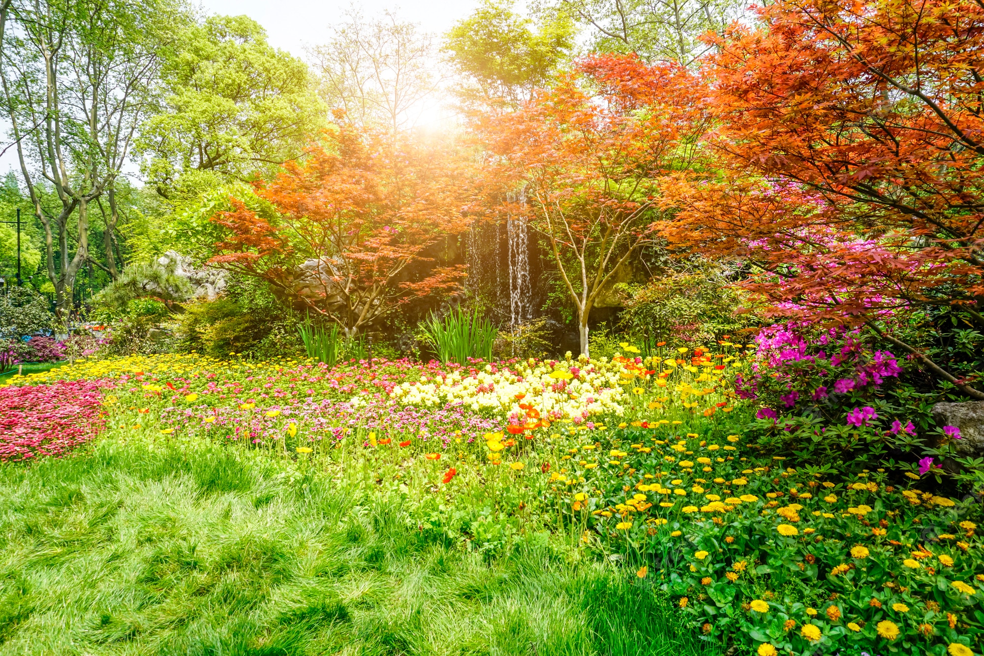 Natural Garden Wallpapers