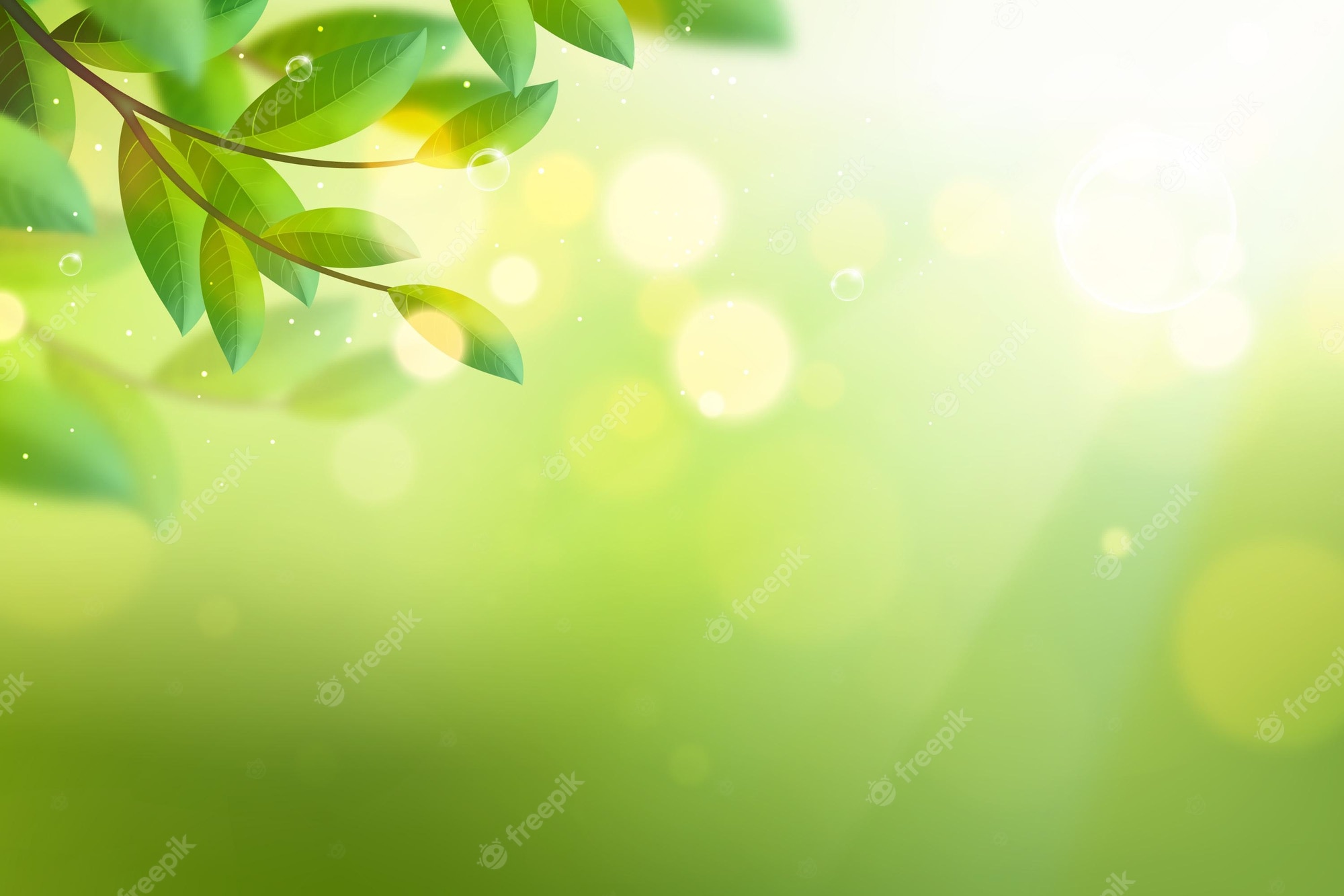 Nature Background