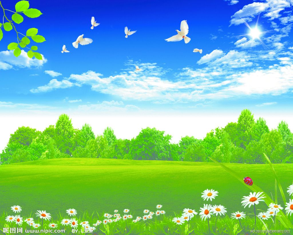 Nature Background