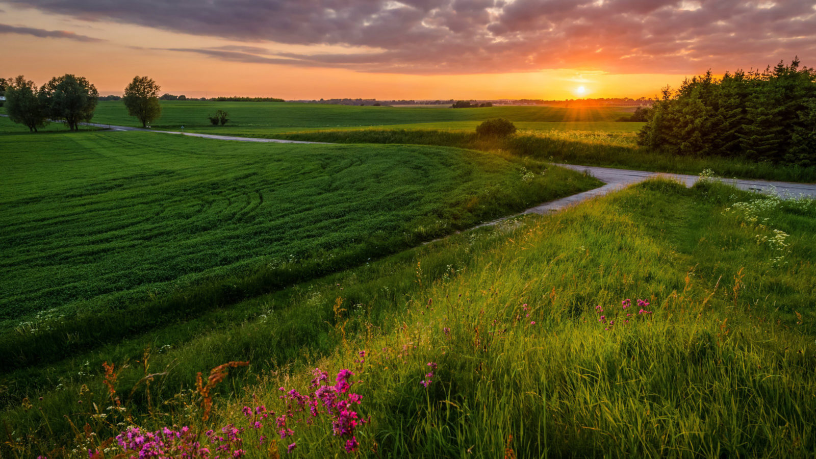 Nature Desk Top Wallpapers