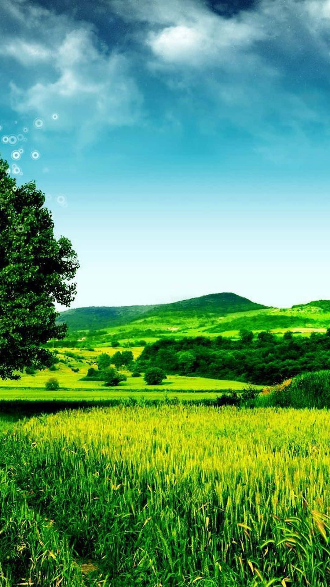 Nature Hd For Android Wallpapers