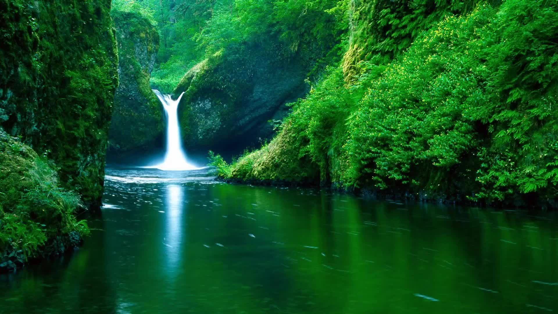 Nature Live Wallpepar Wallpapers