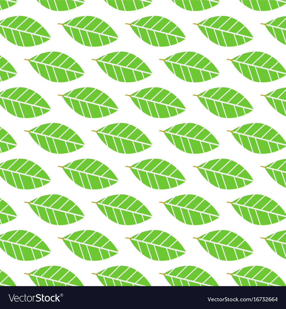 Nature Pattern Background