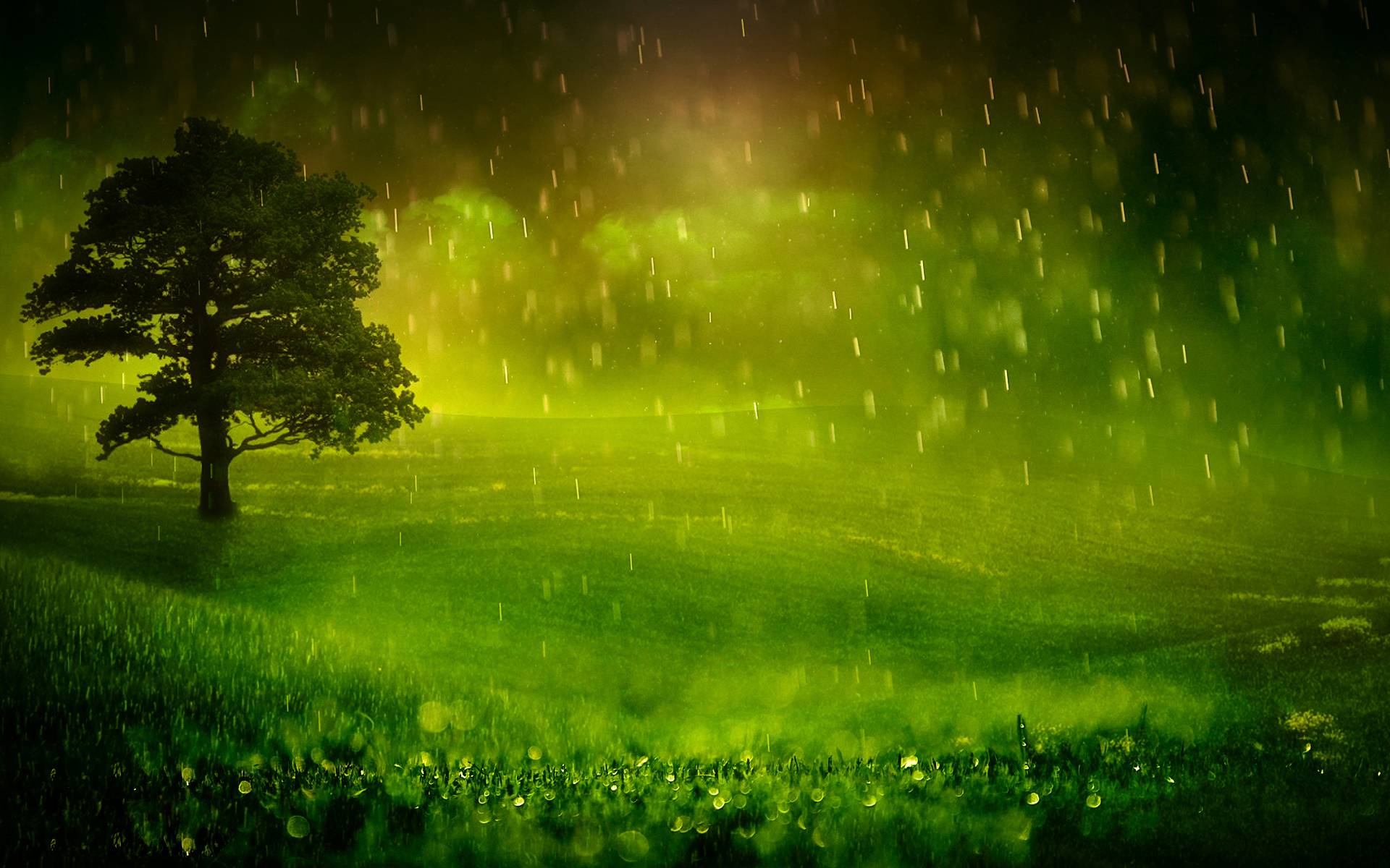 Nature Rain Wallpapers