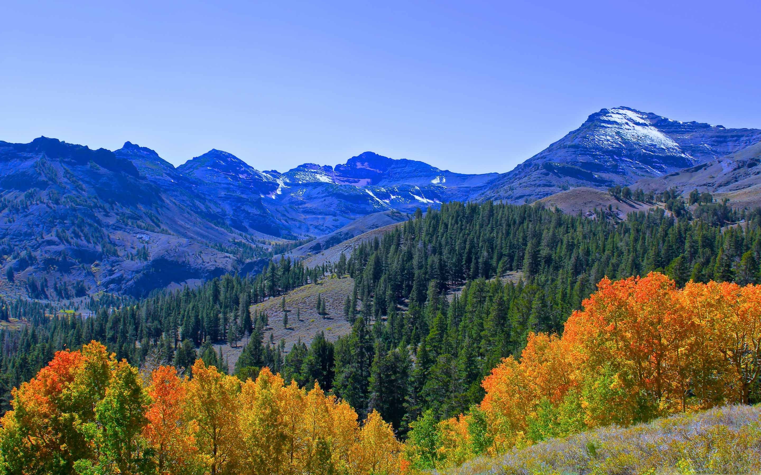 Nature Stock From Macos Sierra Wallpapers