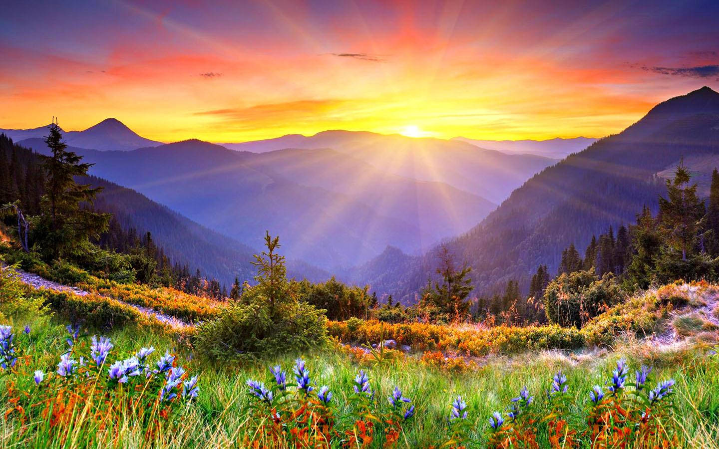 Nature Sunrise Wallpapers