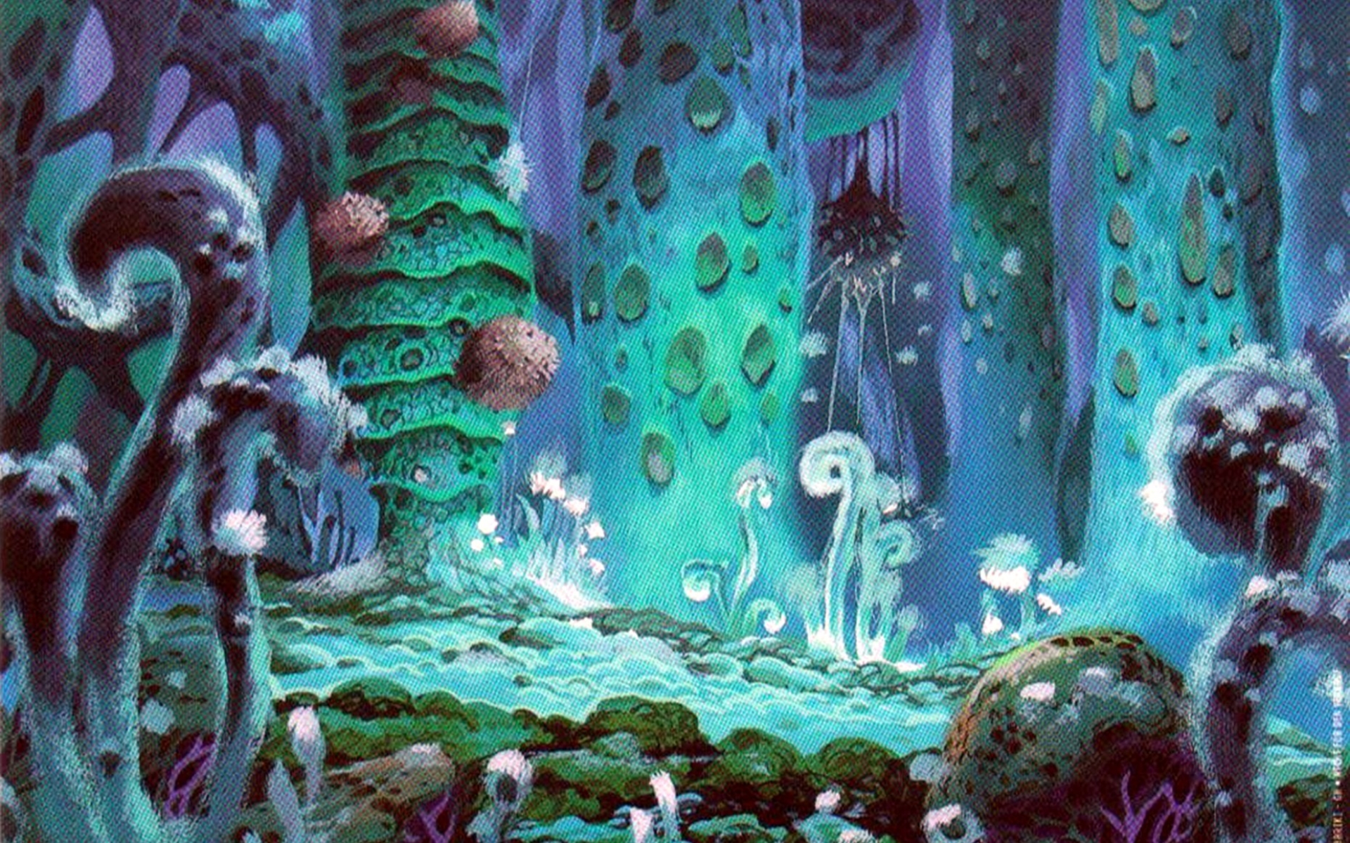 Nausicaa Of The Valley Of The Wind Wallpapers