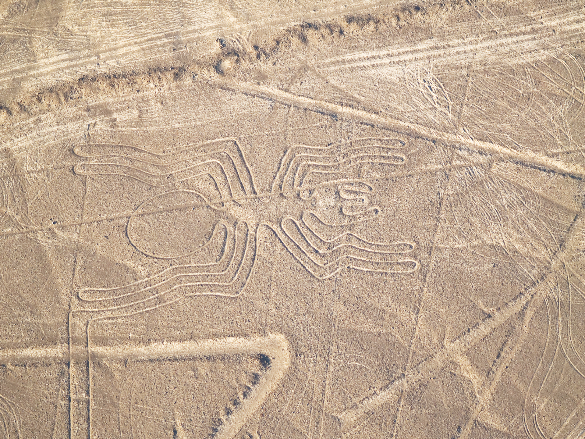 Nazca Homage Wallpapers