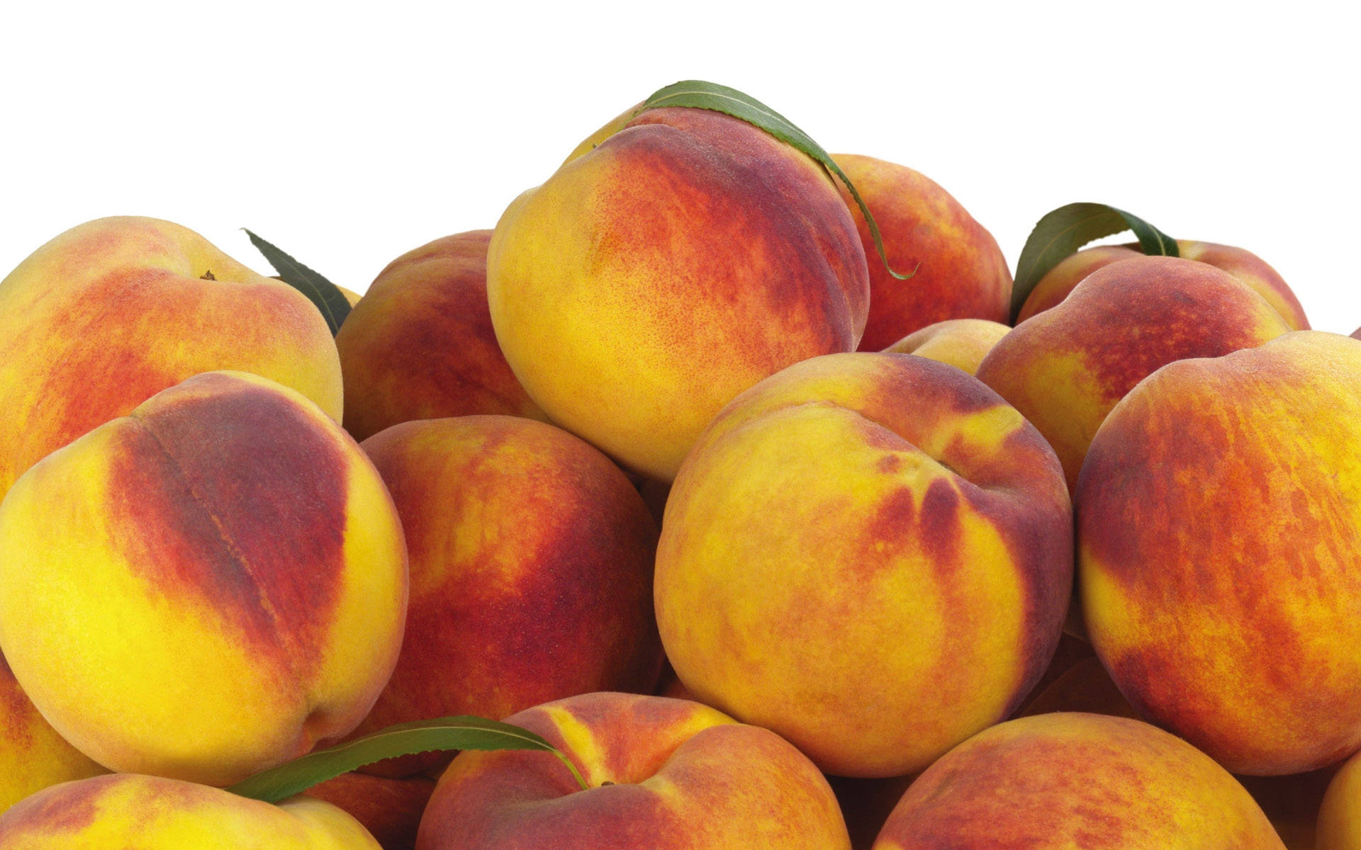 Nectarine Wallpapers