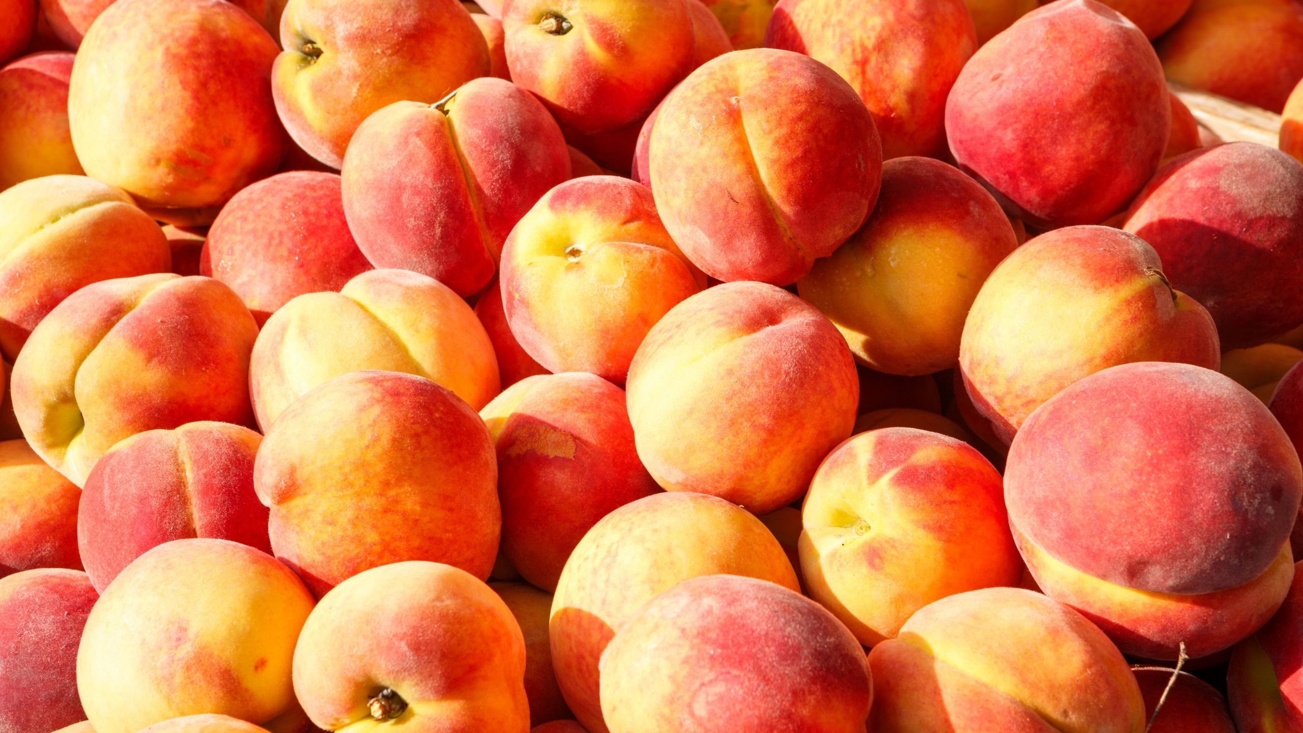 Nectarine Wallpapers