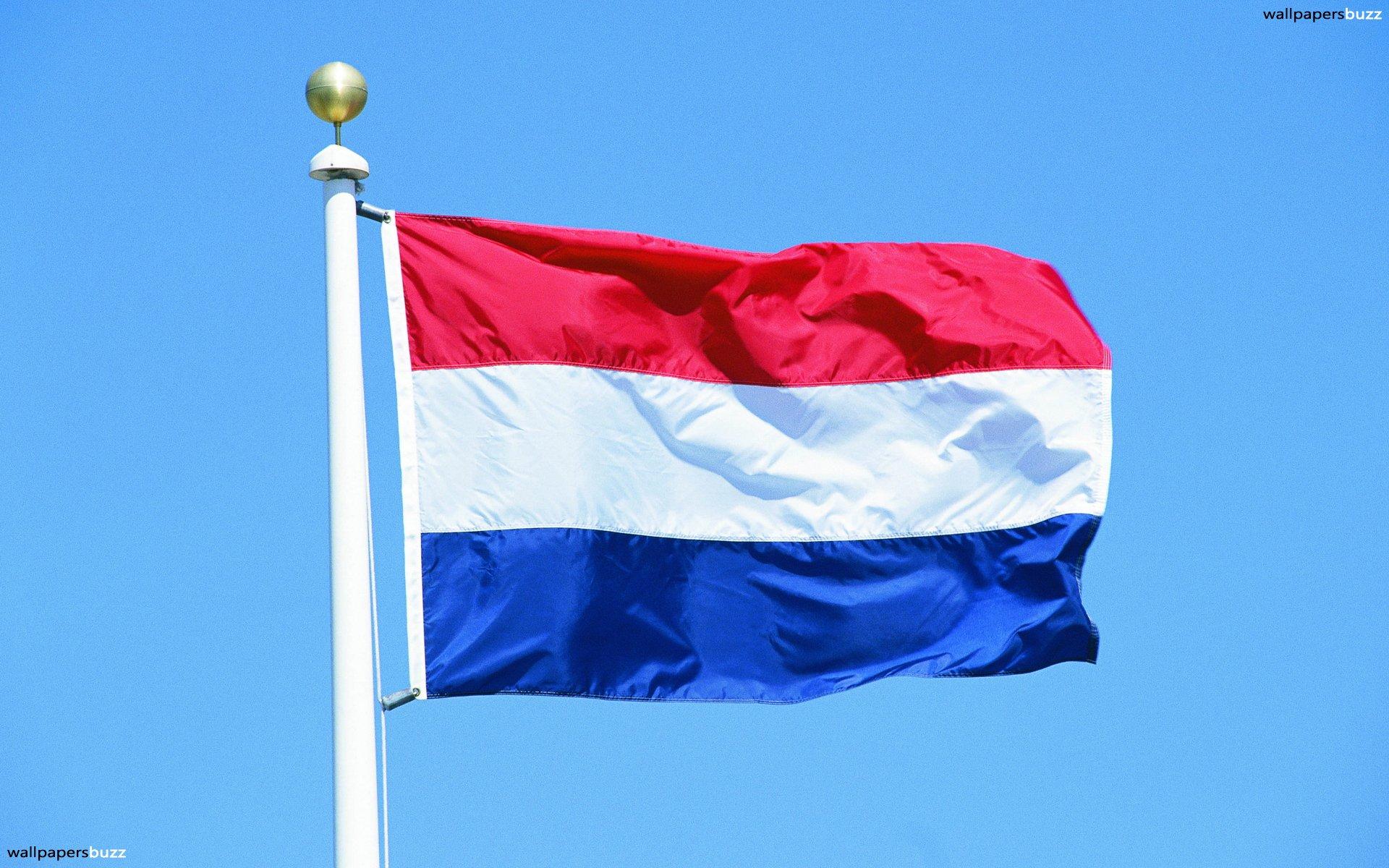 Nederlandse Flag Wallpapers