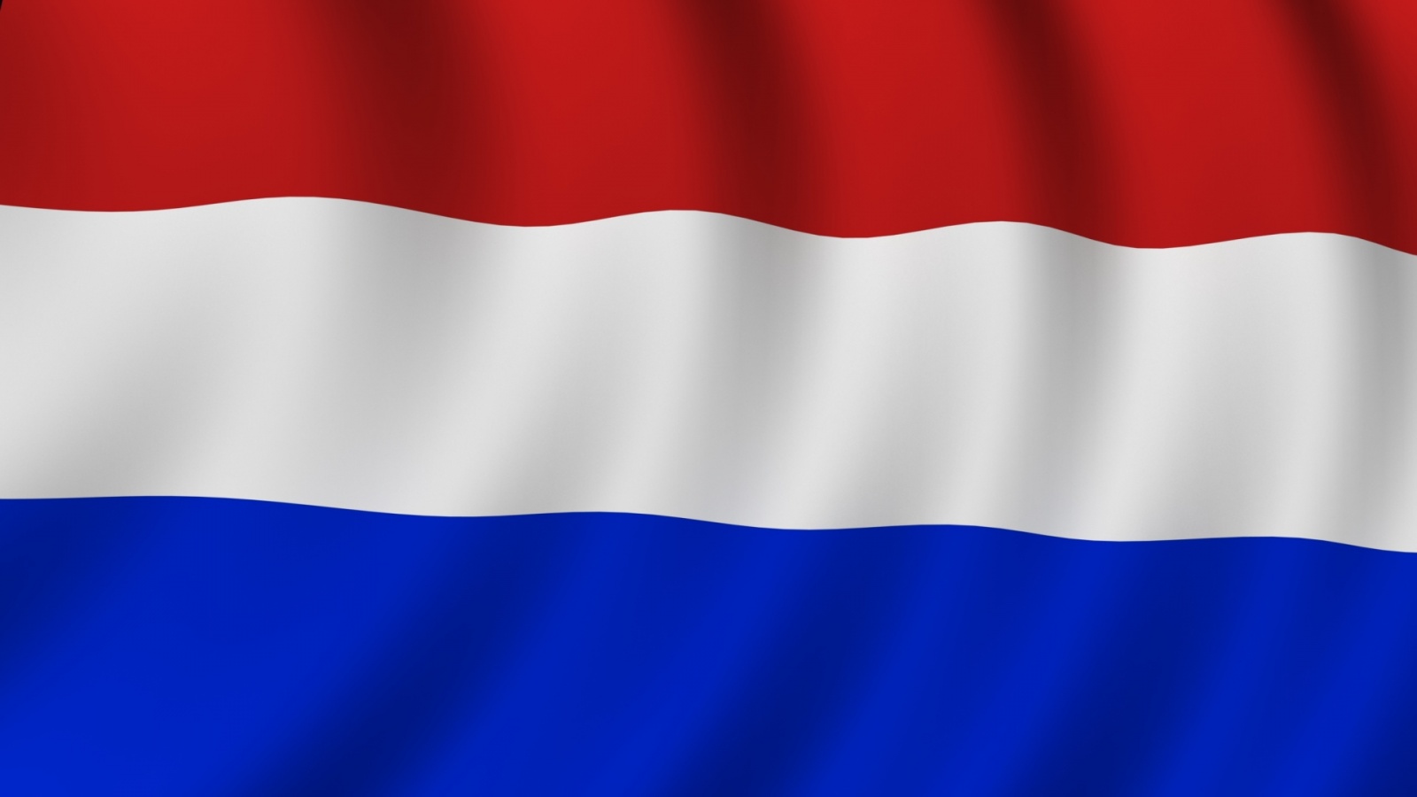 Nederlandse Flag Wallpapers