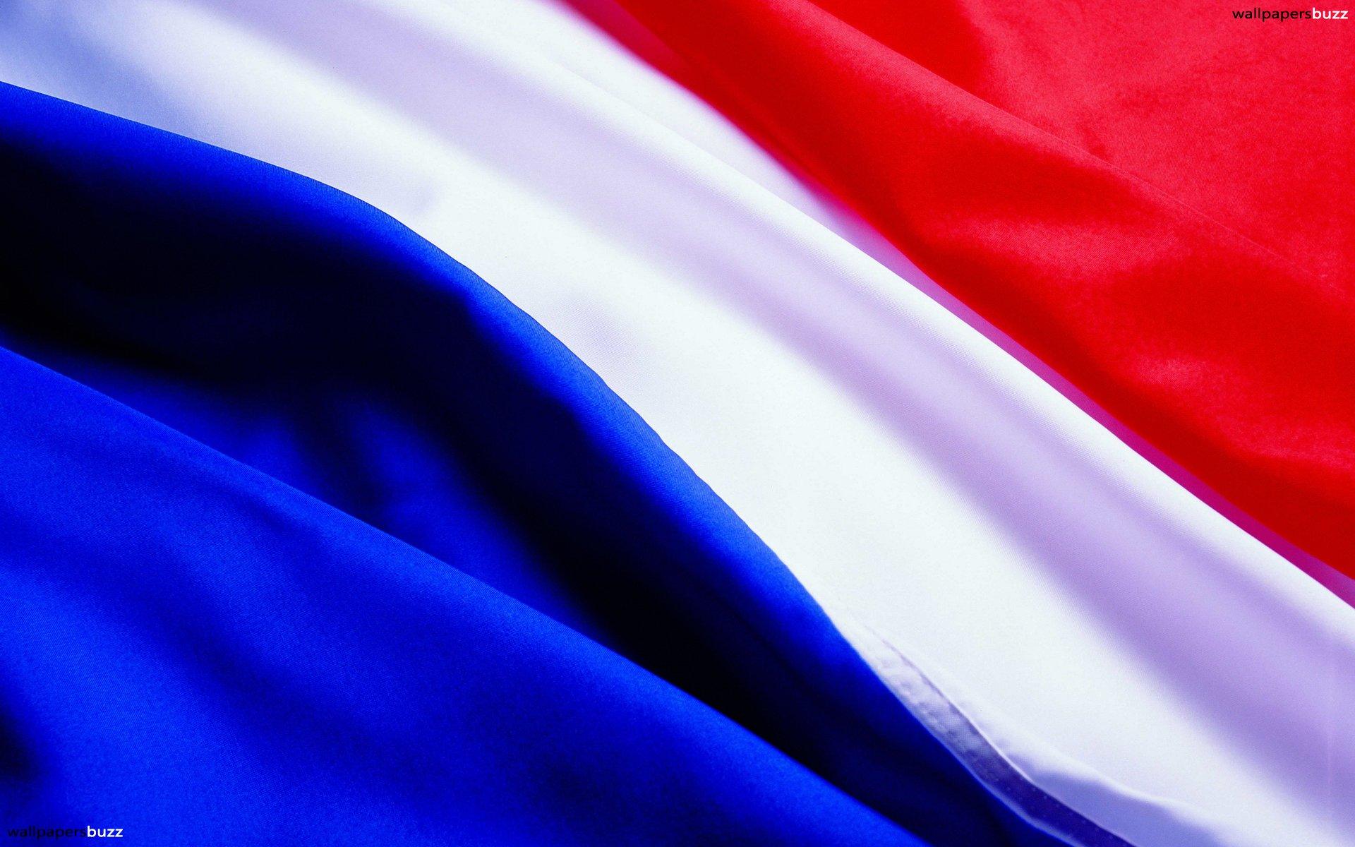 Nederlandse Flag Wallpapers