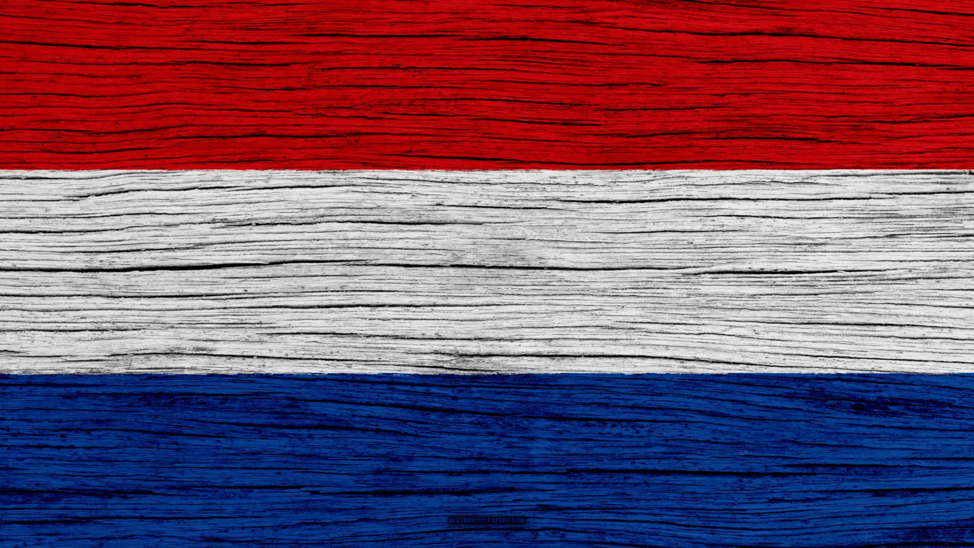 Nederlandse Flag Wallpapers