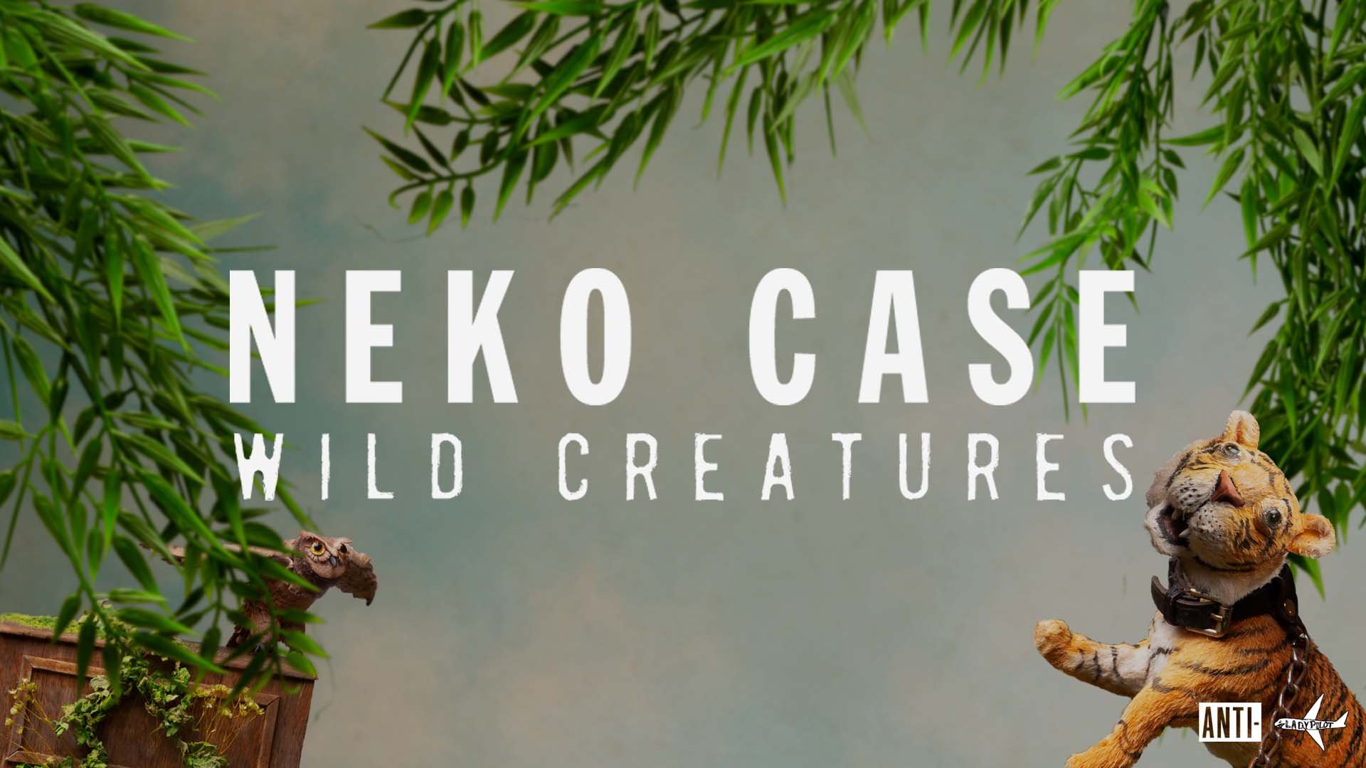 Neko Case Wallpapers