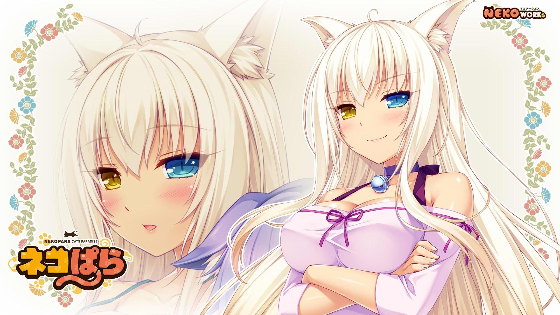 Nekopara Wallpapers