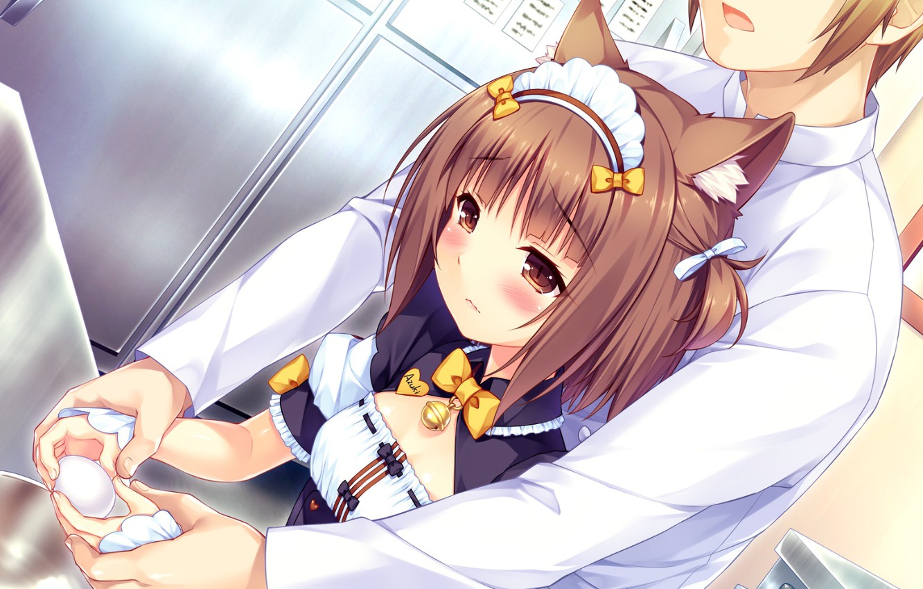 Nekopara Wallpapers