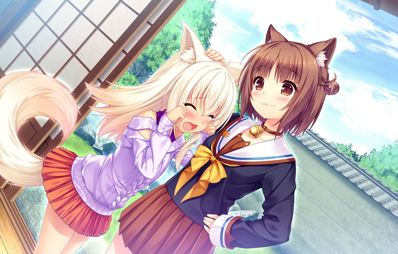 Nekopara Wallpapers