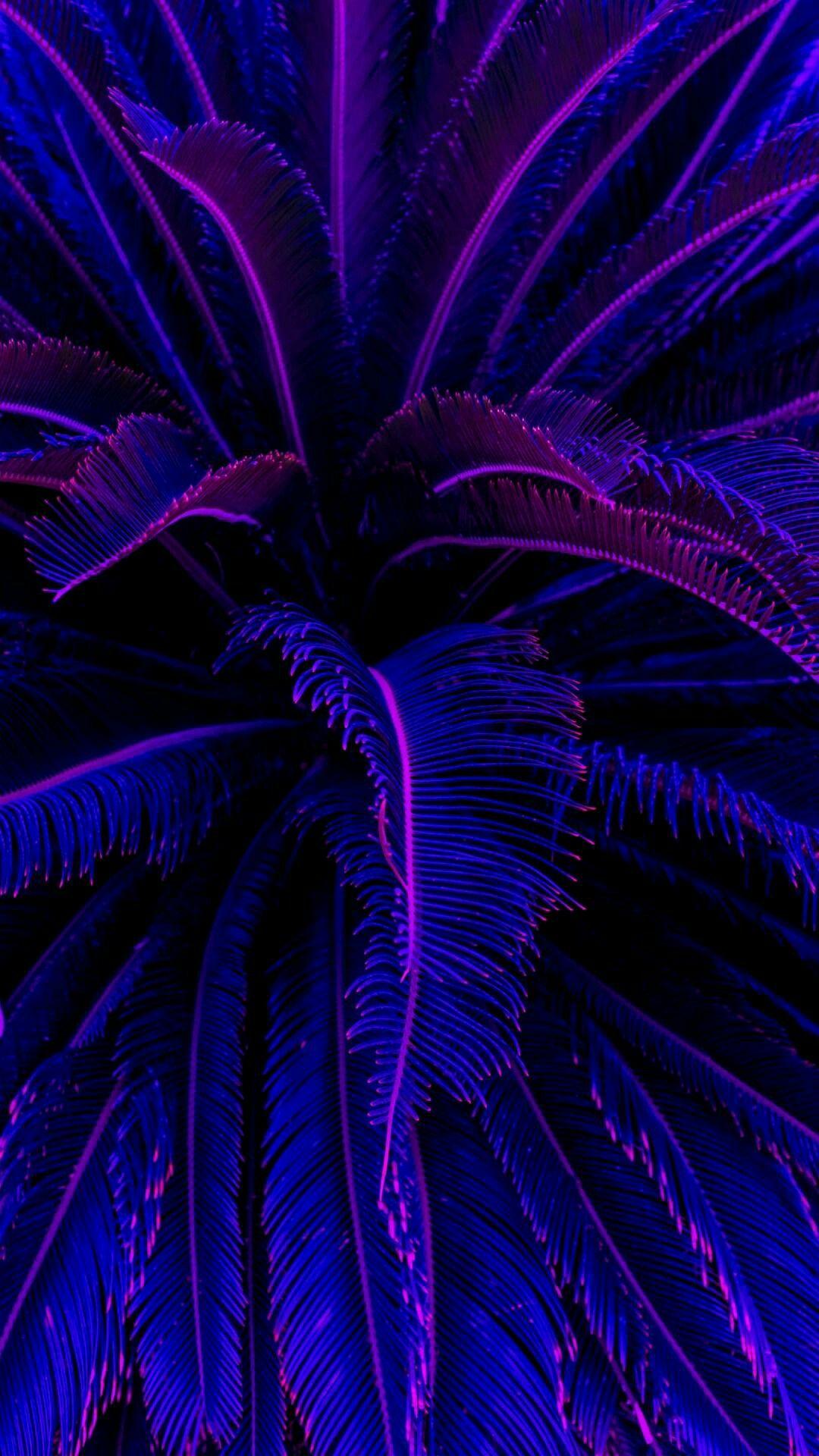 Neon Aesthetic Wallpapers