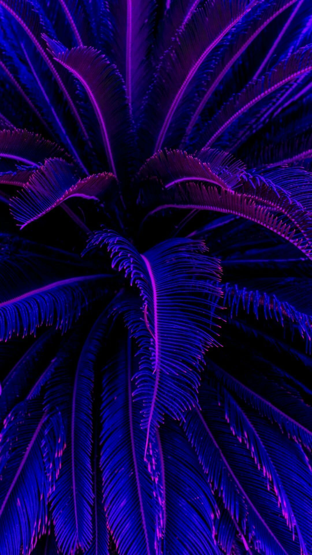 Neon Aesthetic Wallpapers