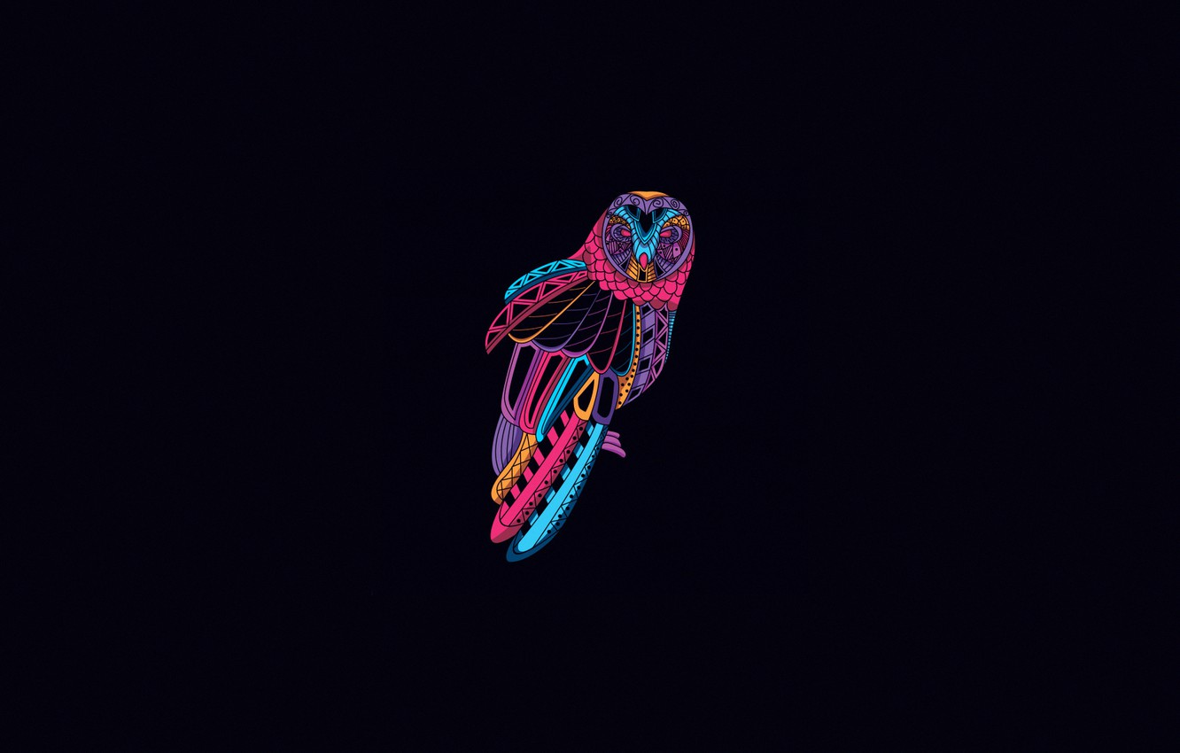 Neon Bird Wallpapers