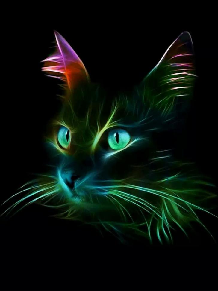 Neon Cat Hd Wallpapers