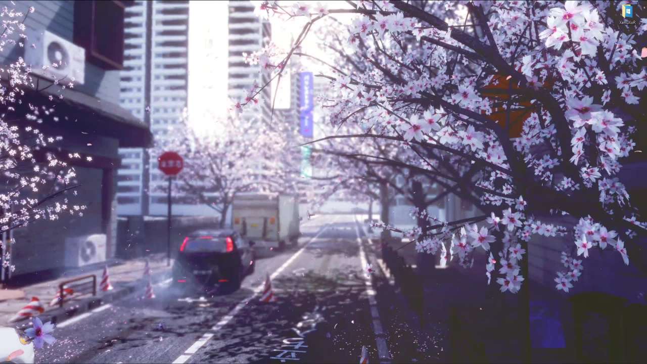 Neon Cherry Blossom Wallpapers
