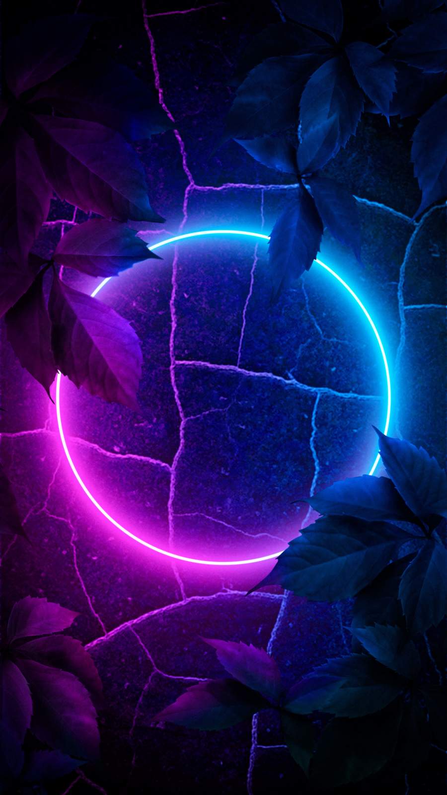 Neon Circle Wallpapers