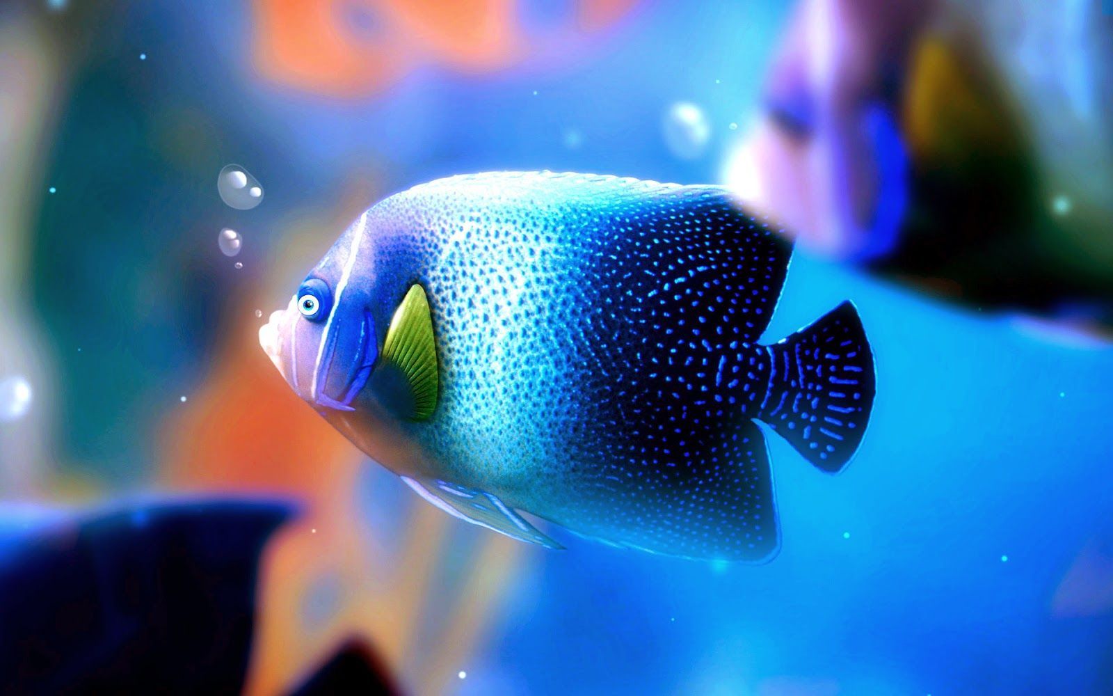 Neon Fish Wallpapers