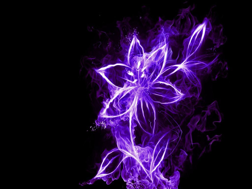 Neon Flowers Wallpapers