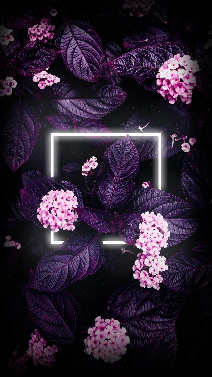 Neon Flowers Wallpapers