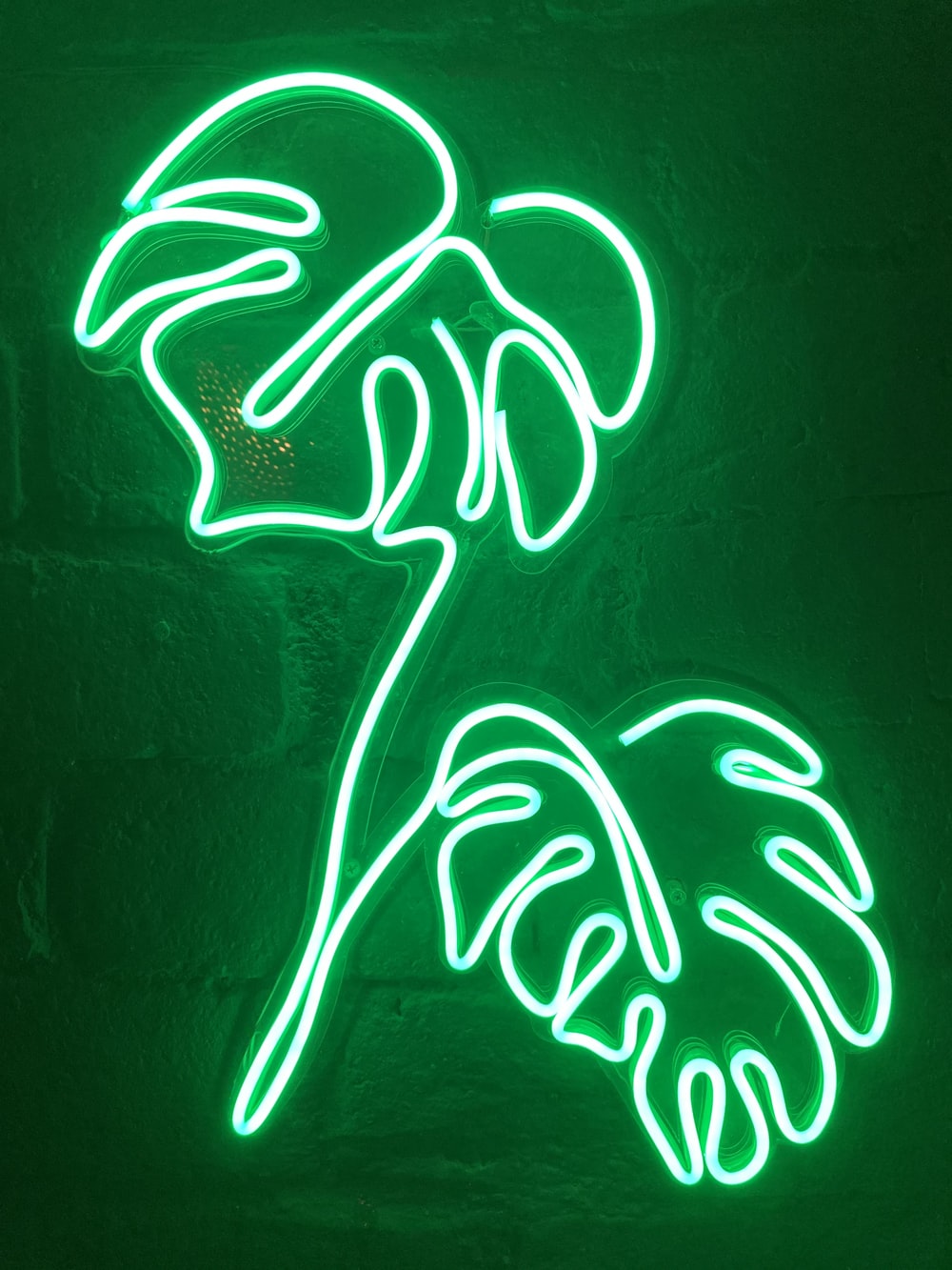 Neon Green Hd Wallpapers