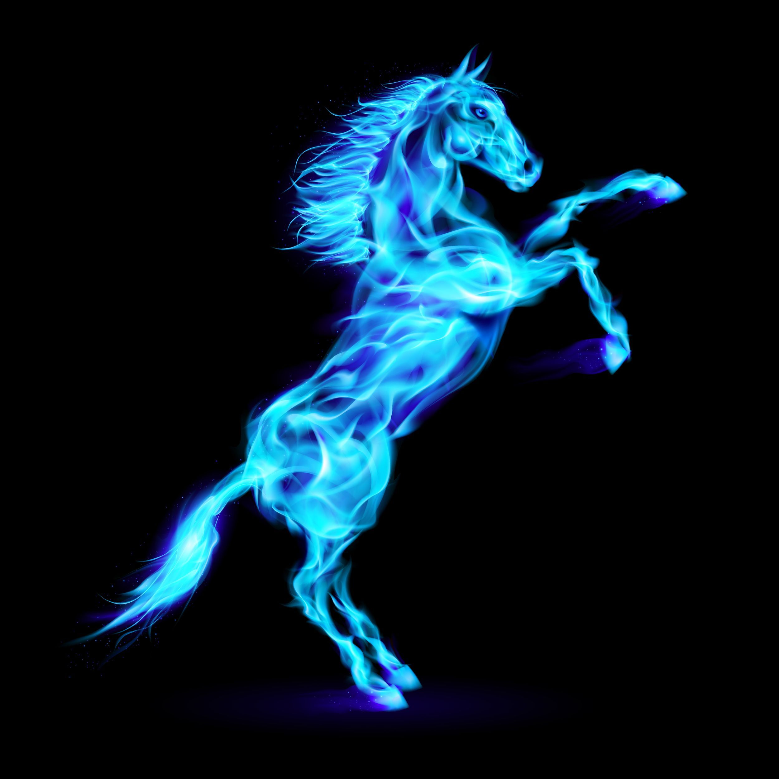 Neon Horses Wallpapers