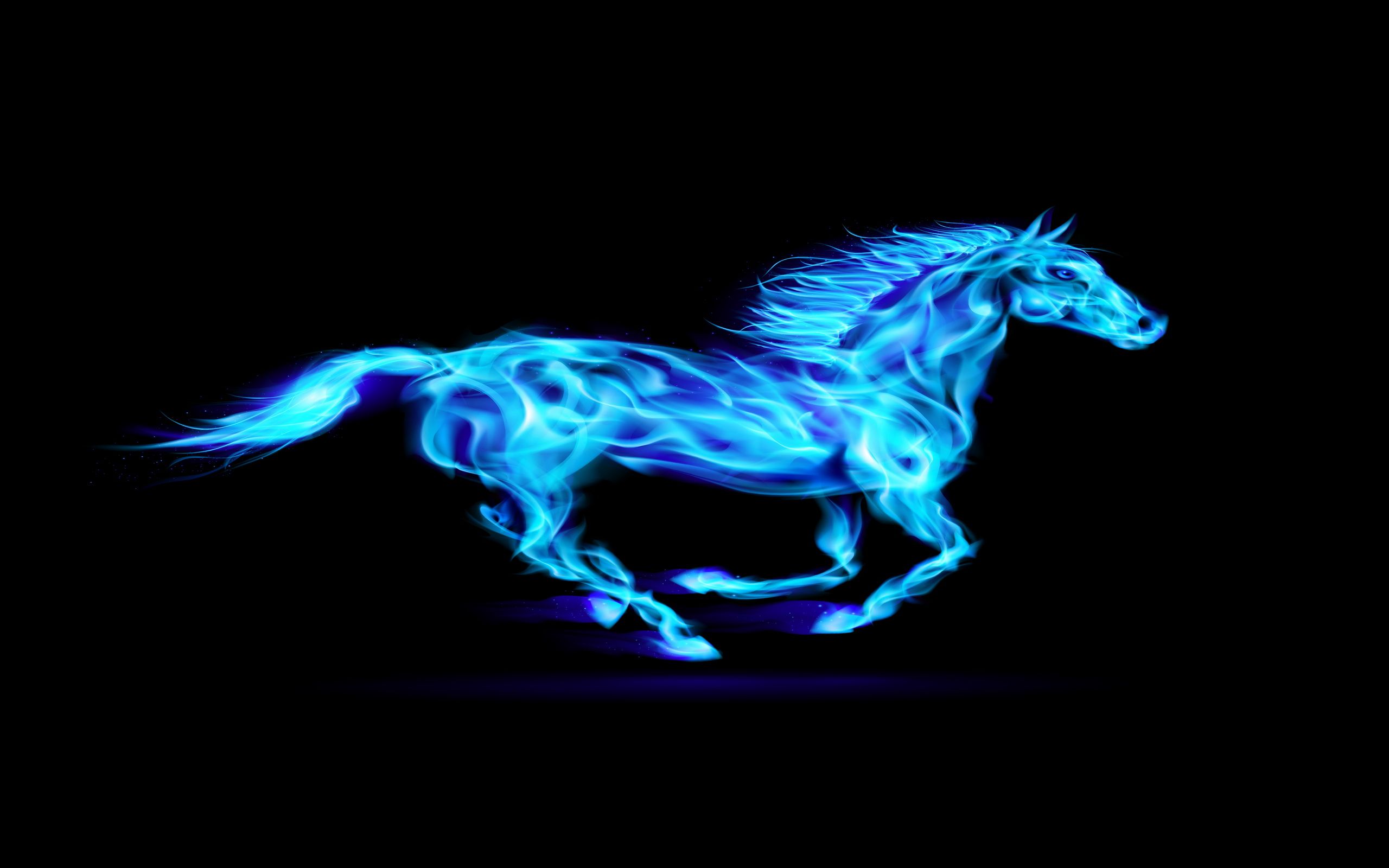 Neon Horses Wallpapers