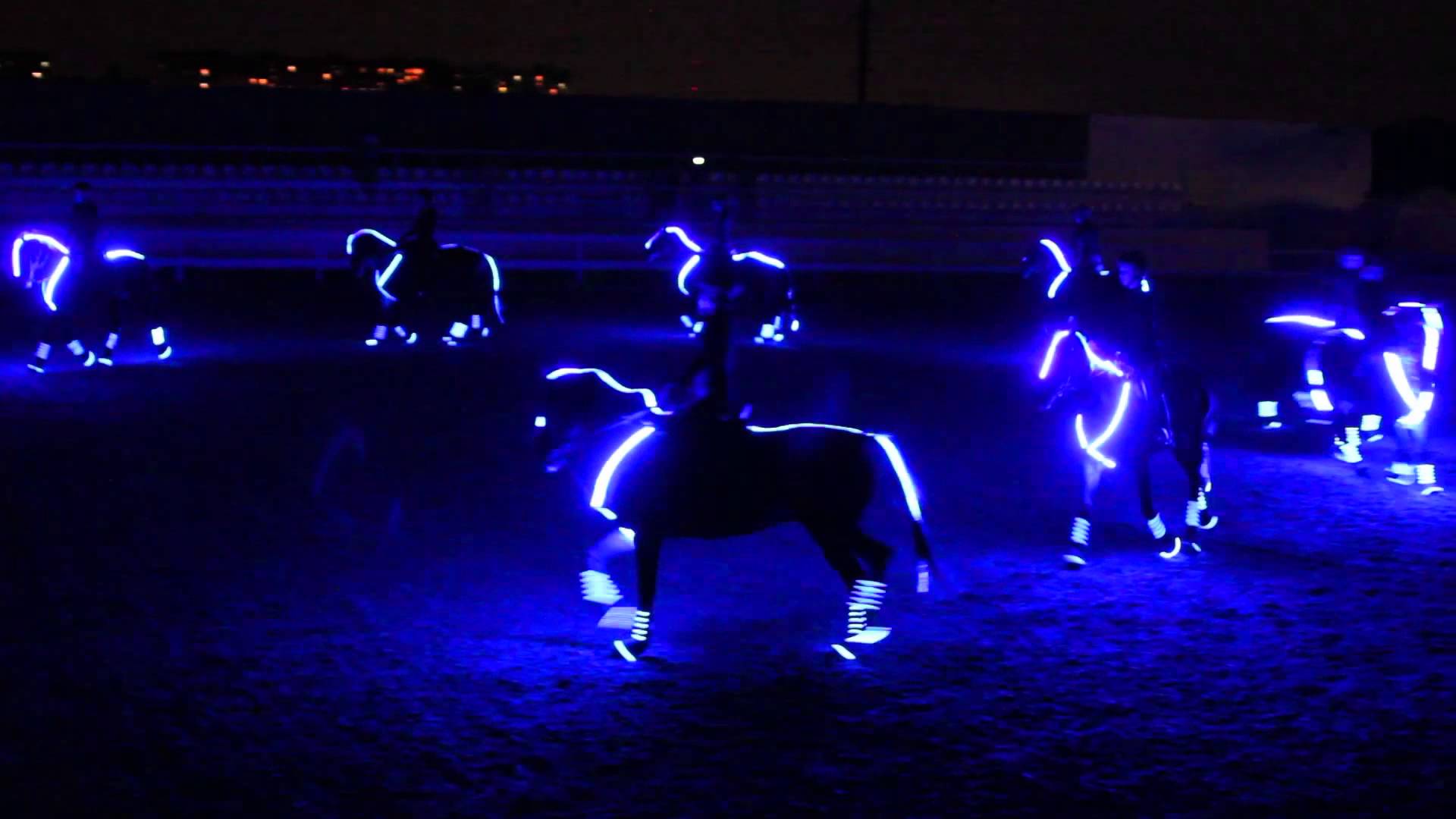 Neon Horses Wallpapers