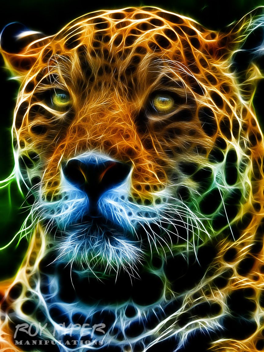 Neon Jaguar Wallpapers