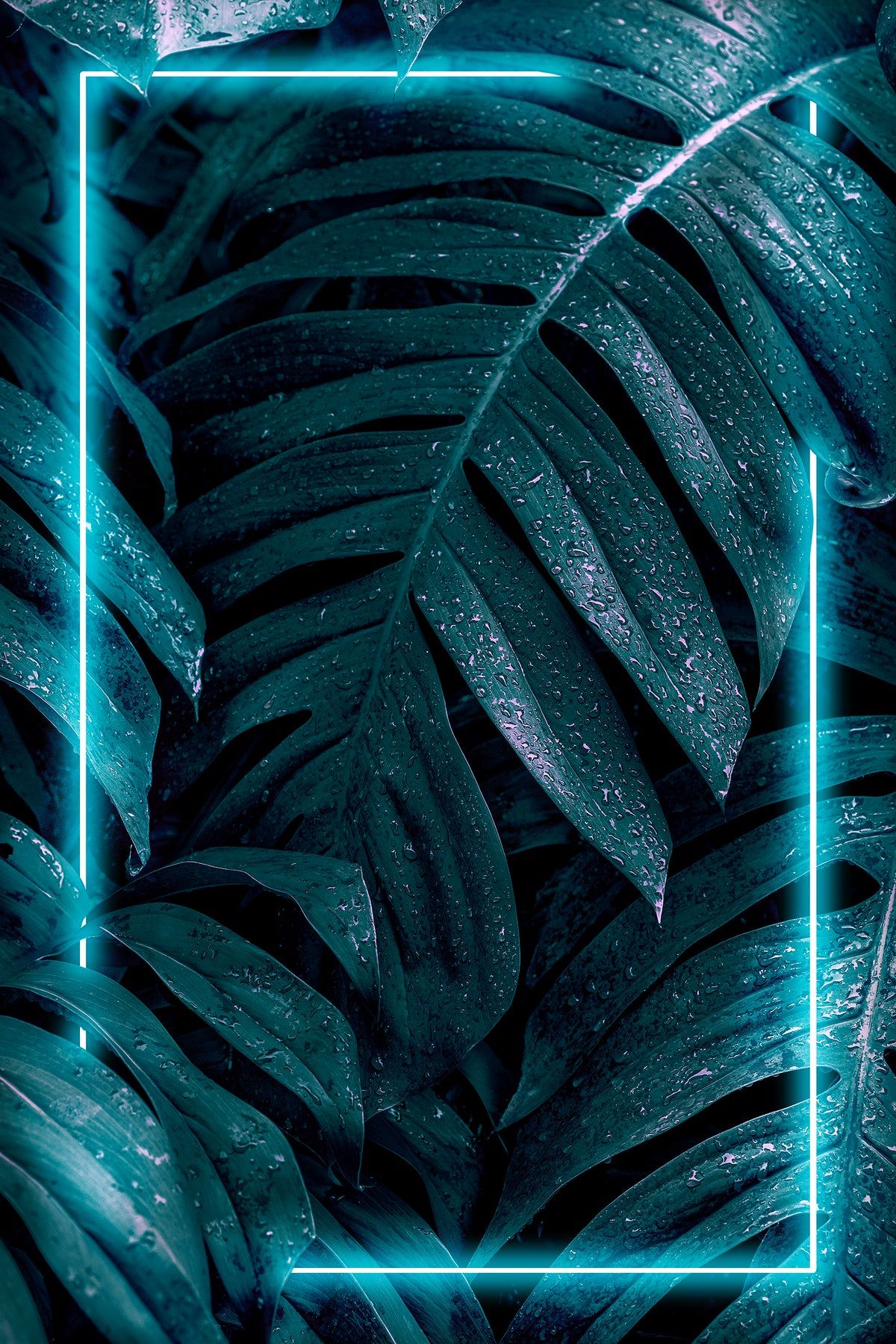 Neon Leaves Wallpapers