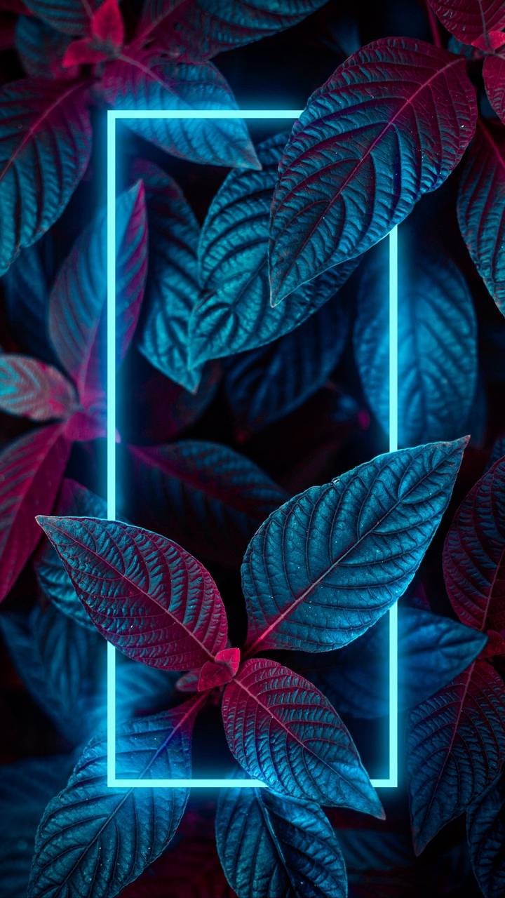 Neon Leaves Wallpapers