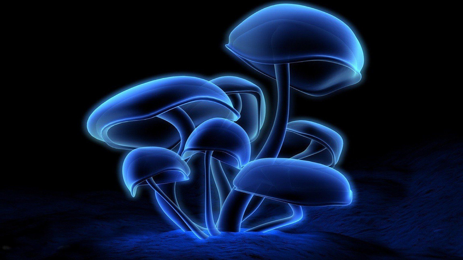 Neon Mushroom Wallpapers