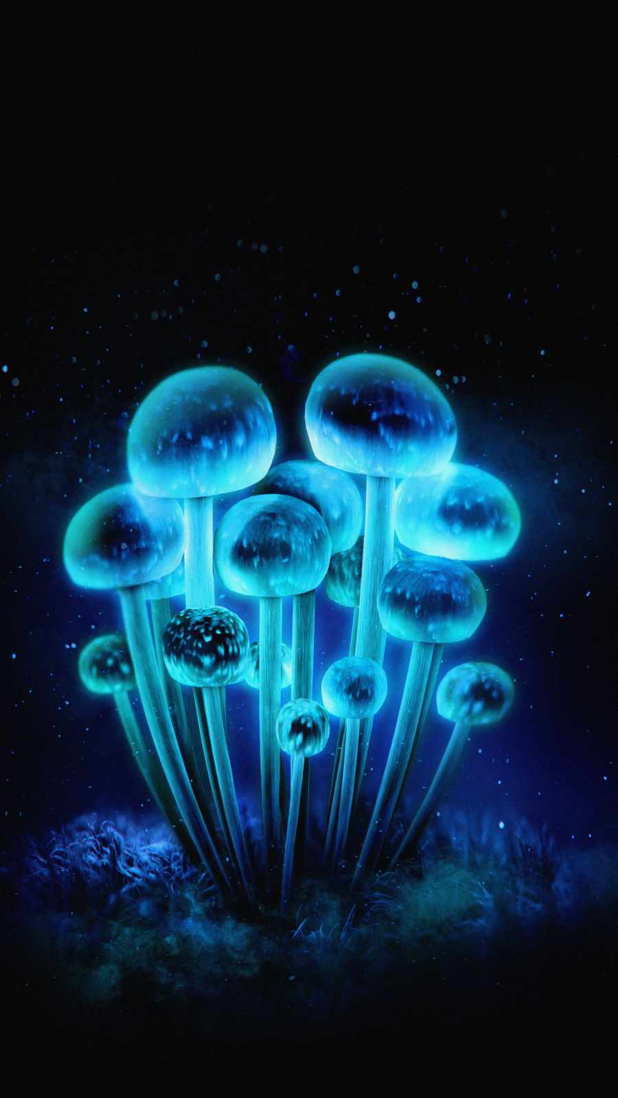 Neon Mushroom Wallpapers