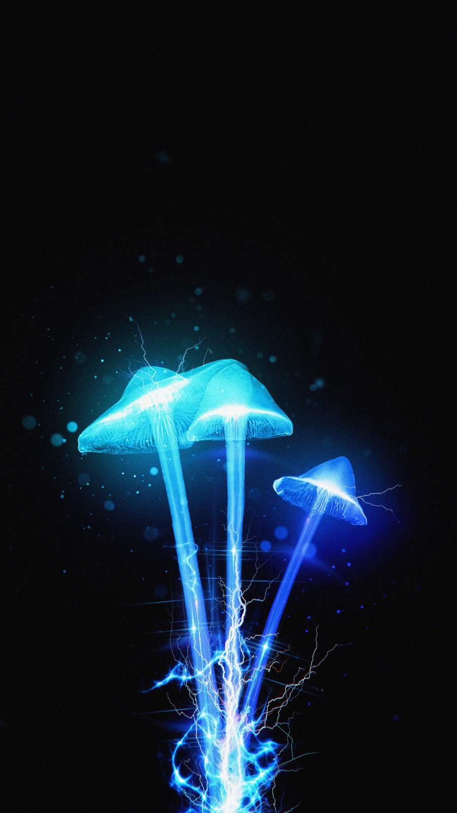 Neon Mushroom Wallpapers