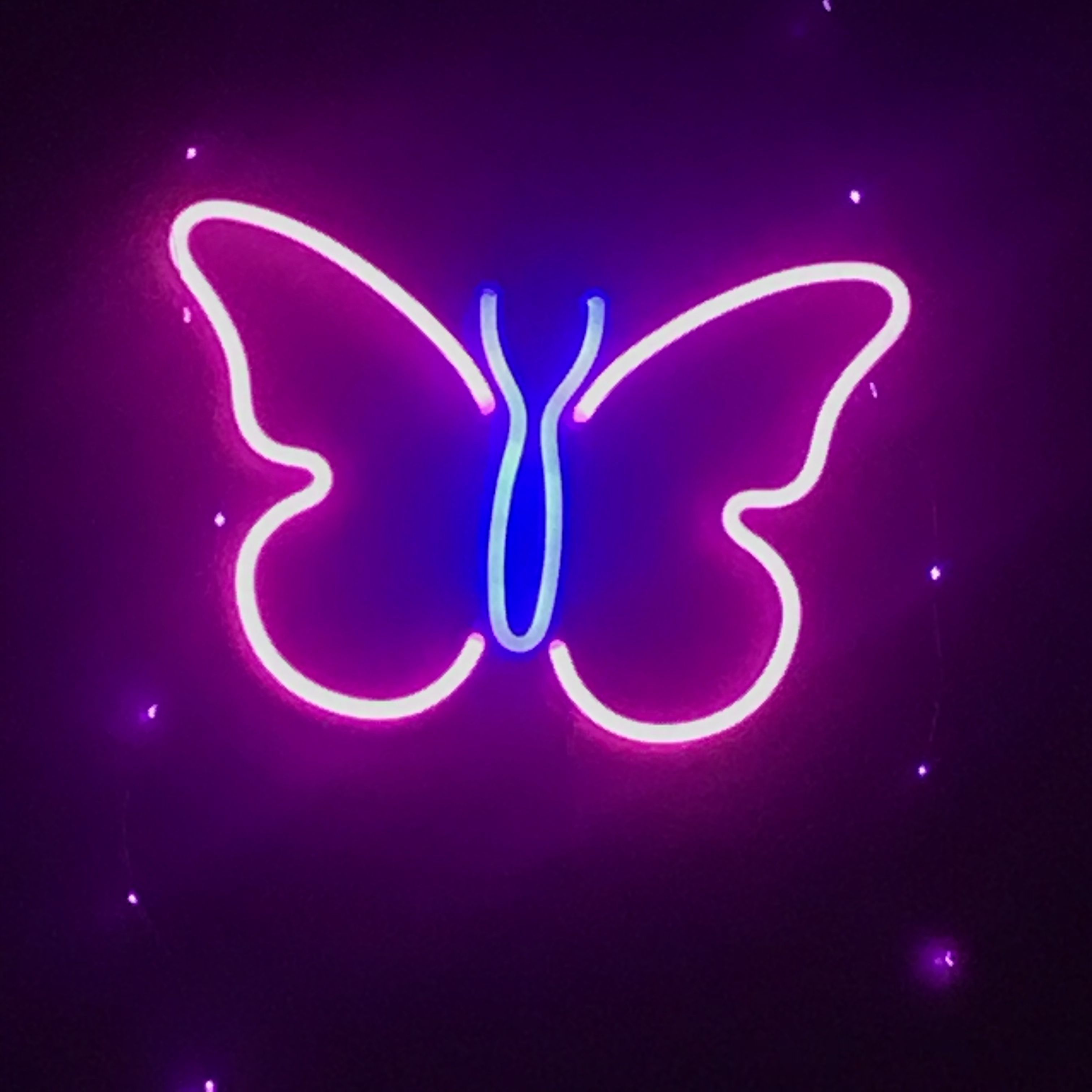 Neon Pink Butterfly Wallpapers