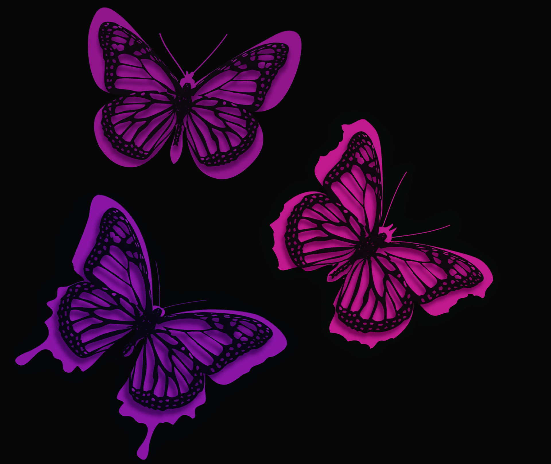 Neon Pink Butterfly Wallpapers