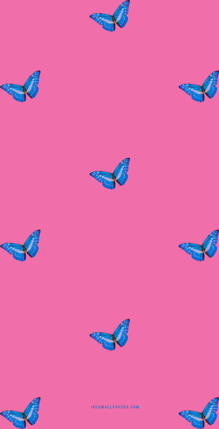 Neon Pink Butterfly Wallpapers