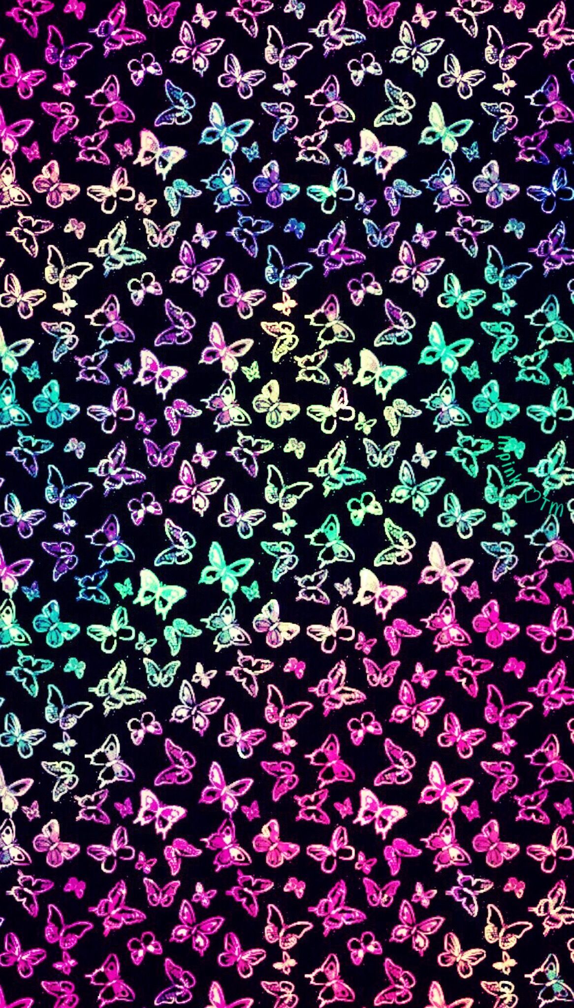 Neon Pink Butterfly Wallpapers