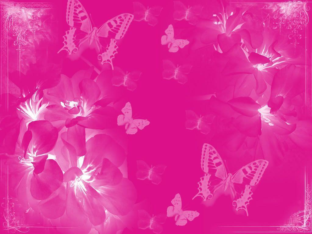 Neon Pink Butterfly Wallpapers